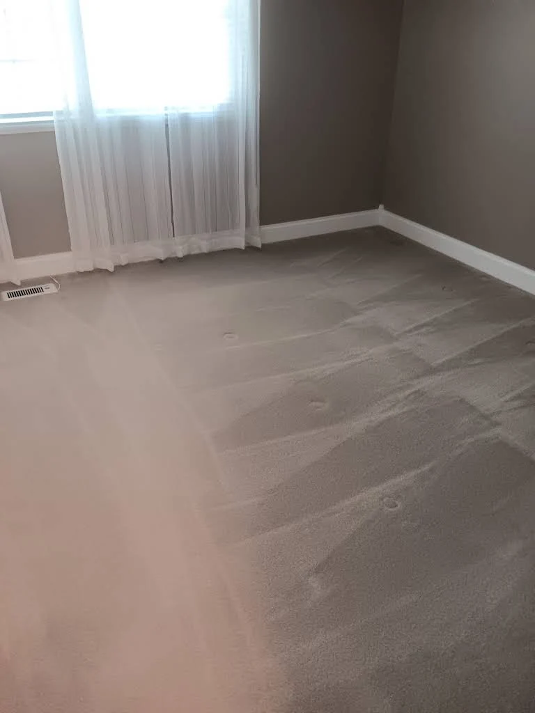 Vacuum lines in a carpeted room, uploaded by Madison’s to Google Maps.
